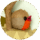 Mom Avatar